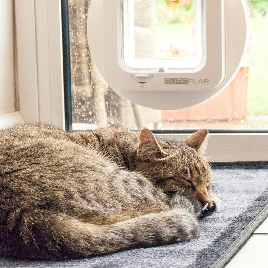 SureFlap Secure Microchip Cat Door – White Small | Smart Selective Entry Cat Flap
