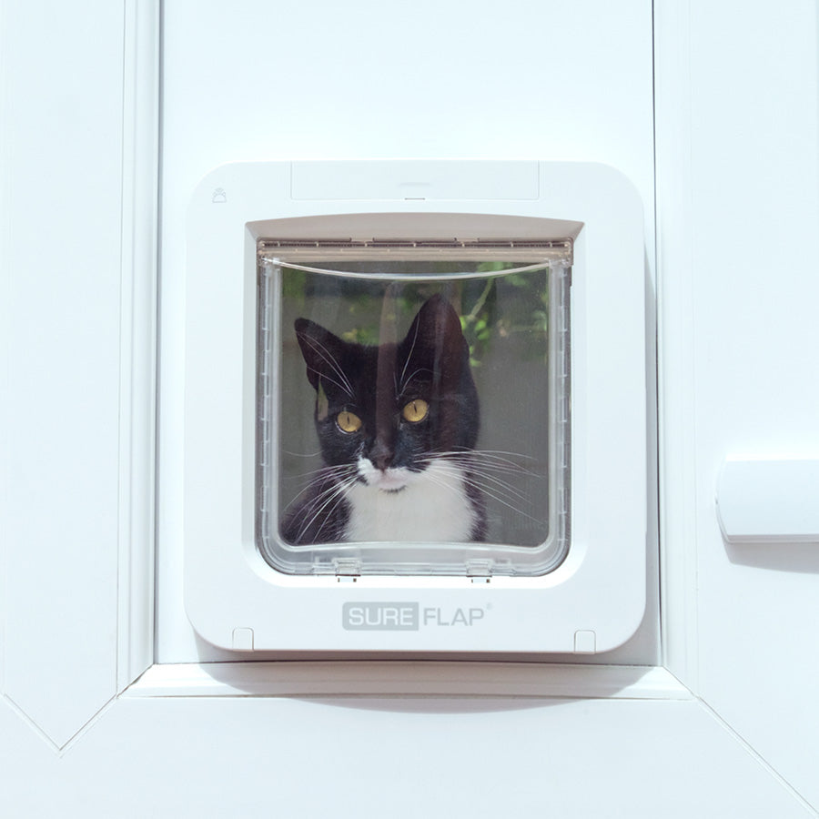 SureFlap Microchip Cat Flap Connect & Hub Bundle – White Small/Medium | Smart App-Controlled Cat Door