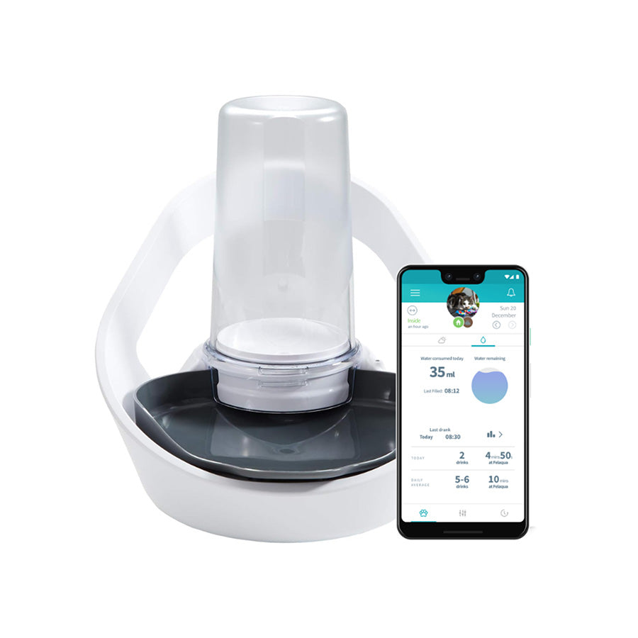 Sure Petcare Felaqua Connect Smart Pet Water Bowl – White | Microchip Water Bowl for Cats & Small Dogs