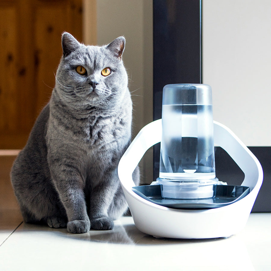 Sure Petcare Felaqua Connect Smart Pet Water Bowl – White | Microchip Water Bowl for Cats & Small Dogs