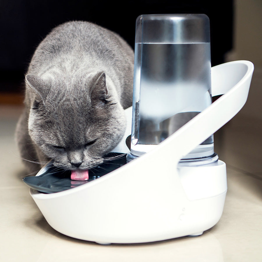 Sure Petcare Felaqua Connect Smart Pet Water Bowl – White | Microchip Water Bowl for Cats & Small Dogs
